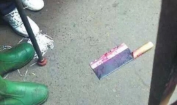 中国女生在日本被室友杀害，生活琐事为何能导致行凶？