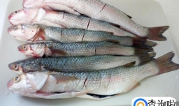 家常炖梭鱼的做法