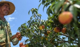 小康生活的标准是什么？