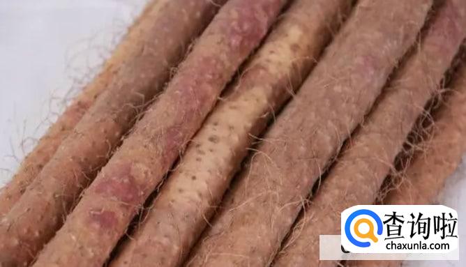 吃铁棍山药有哪些禁忌