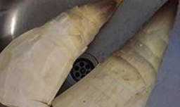 怎样自己在家做笋干好吃？