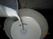 怎么煮牛奶最好喝