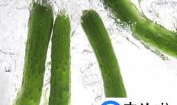 简单介绍青瓜敷脸美容法