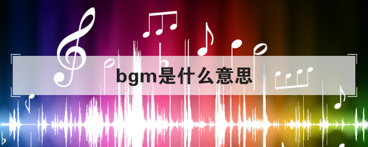 bgm是什么意思