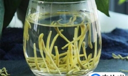 喉咙痛的像刀割一样怎么办