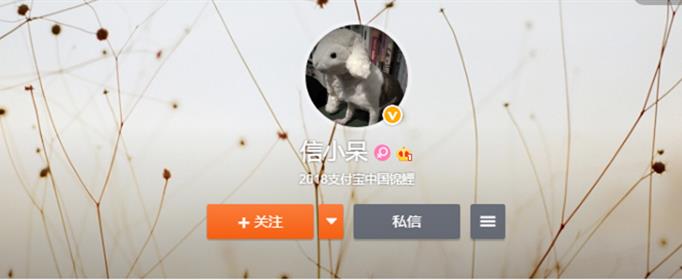 支付宝锦鲤是什么