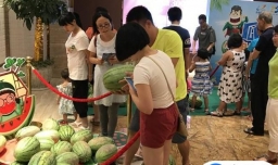 如何挑选好的西瓜