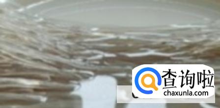 白菜炖粉条的家常做法