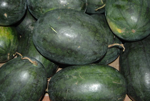 西瓜的品种有哪些