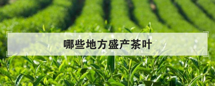 哪些地方盛产茶叶