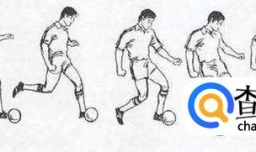 足球脚内侧传球动作要点：