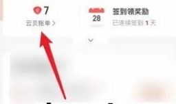 网易云音乐怎样查看云贝收入明细