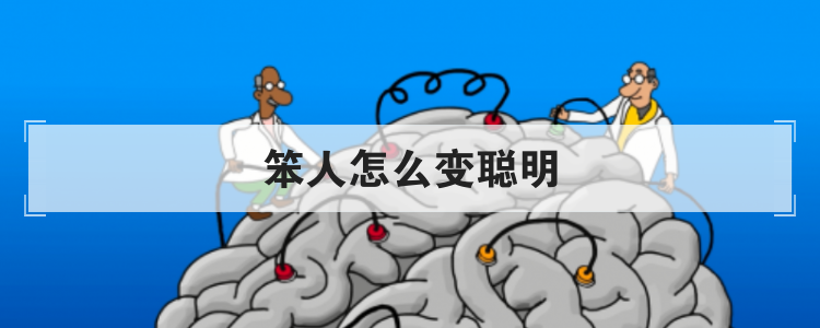 笨人怎么变聪明
