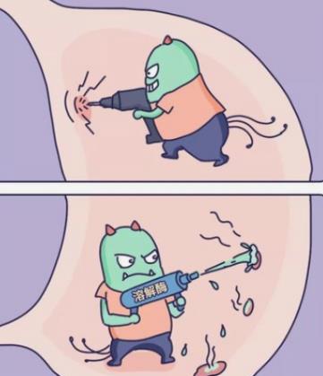 幽门螺旋杆菌阳性是什么意思？