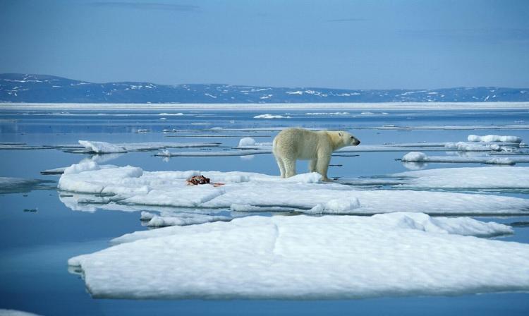 世界4大洋面积最小的是哪个洋