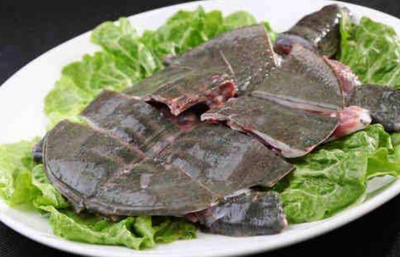 吃甲鱼的功效与禁忌