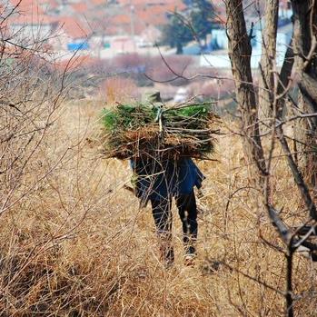 欲知山中事下一句是什么