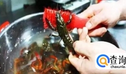 如何快速清洗小龙虾
