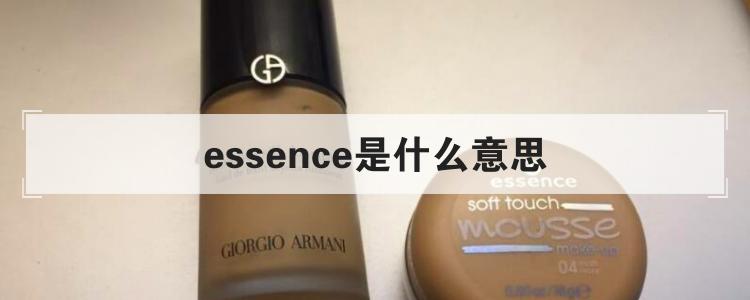 essence是什么意思