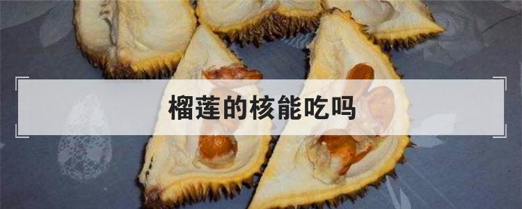 榴莲的核能吃吗