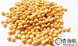 如何制作豆腐皮