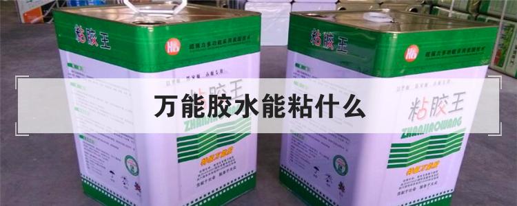 万能胶水能粘什么