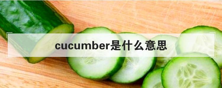cucumber是什么意思