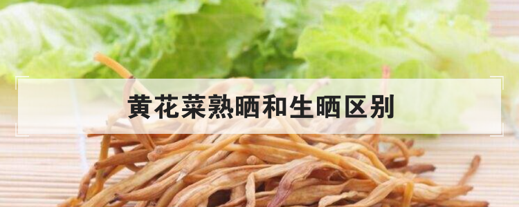 黄花菜熟晒和生晒区别