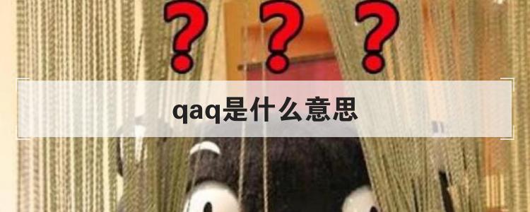 qaq是什么意思