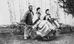 包衣是什么意思