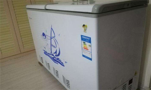 冰柜排行榜前十名家用