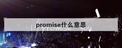 promise什么意思