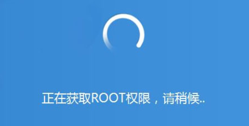 root什么意思