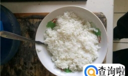 芝士焗饭的制作方法