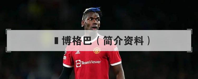  博格巴（简介资料）