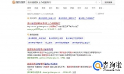 怎么查询、打印个人所得税的完税证明？