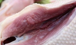 如何做三鲜鹅肉汤