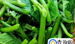 南瓜苗怎么剥才不会老