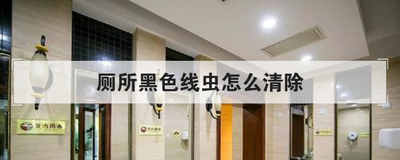厕所黑色线虫怎么清除