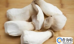 杏鲍菇有哪些功效