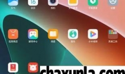 redmipad录屏功能在哪找到