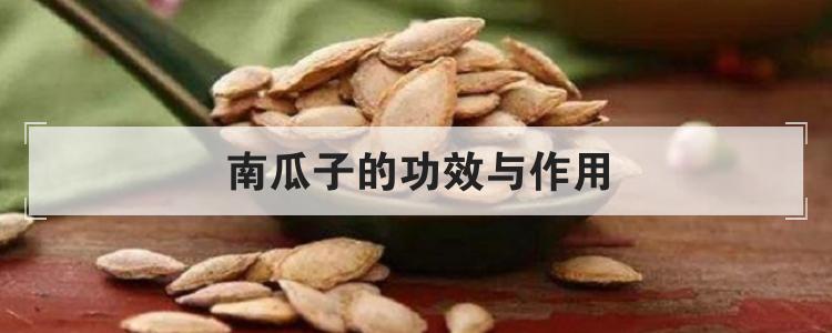 南瓜子的功效与作用