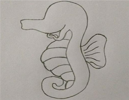 海洋生物简笔画