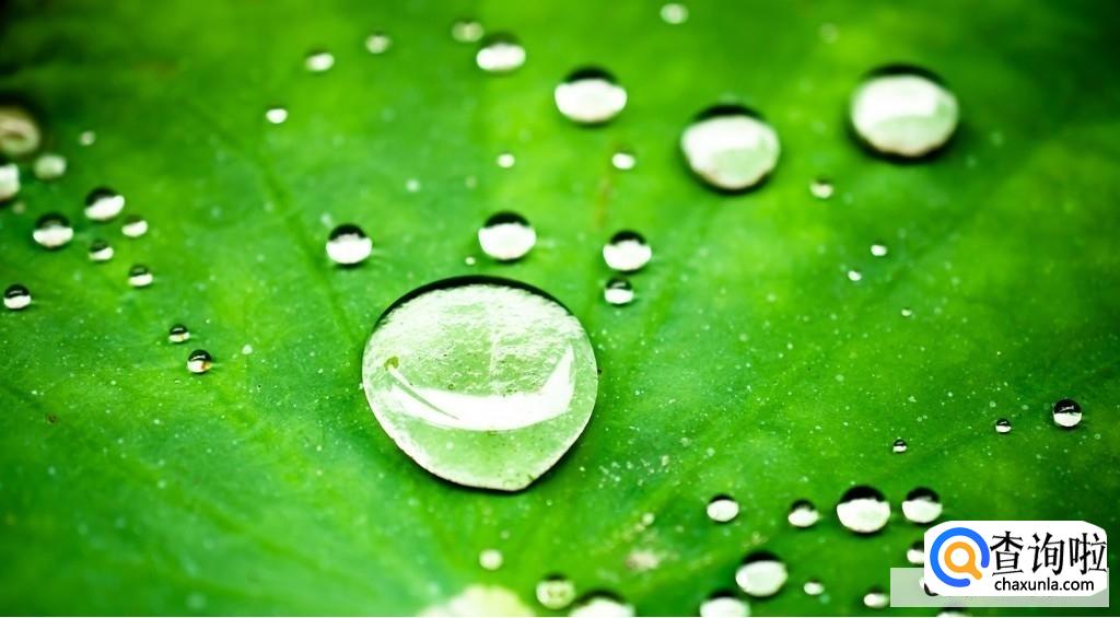 摄影构图法有哪些