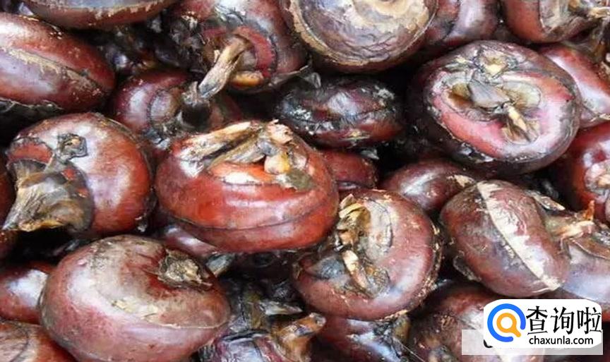 吃荸荠有什么好处