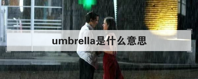 umbrella是什么意思