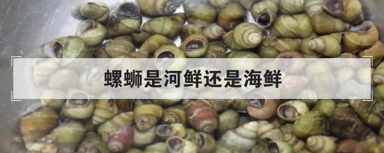 螺蛳是河鲜还是海鲜