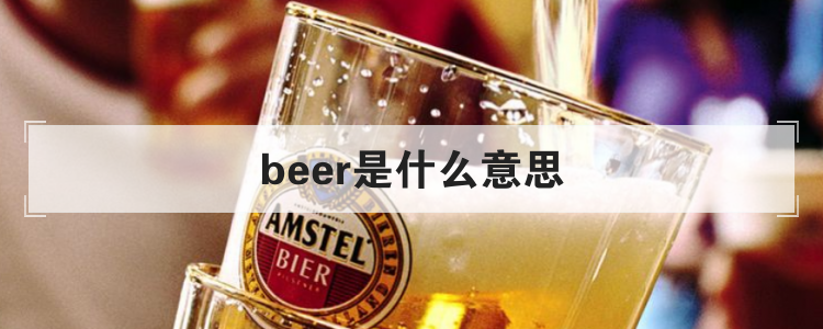 beer是什么意思