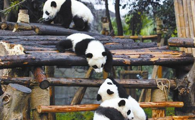 成都旅游攻略三日游