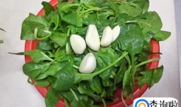蒜蓉炒菠菜怎么做？